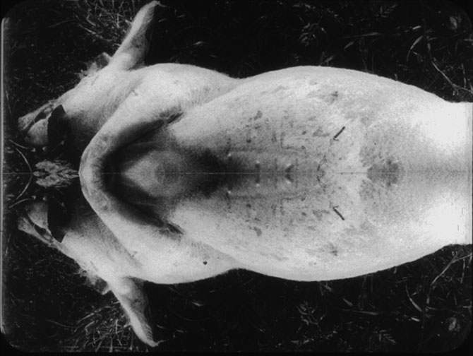 hpgeburt-der-venus003_web