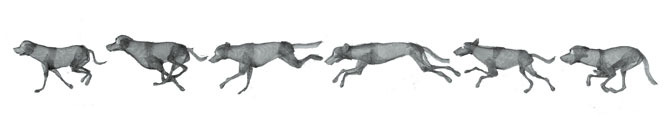 hunde_draht-freigestellt_web