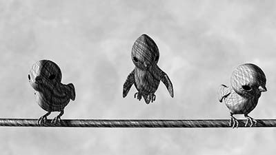 Elias Wagner, Corina Sand: Bird on the wire