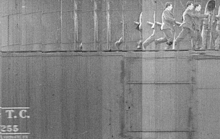 Miro Manojlović: PACIFIC LINES